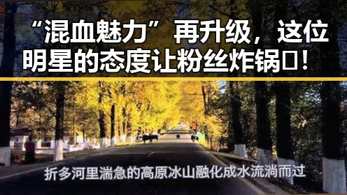 “混血魅力”再升级，这位明星的态度让粉丝炸锅🔥！