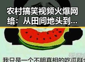 农村搞笑视频火爆网络：从田间地头到生活点滴的真实写照