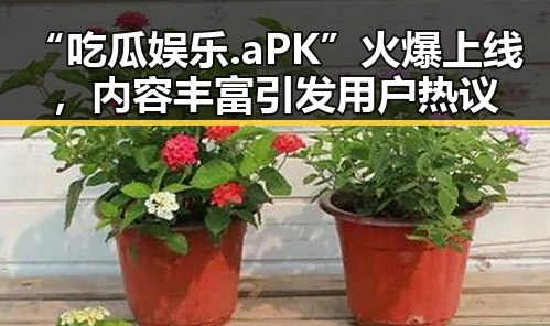 “吃瓜娱乐.aPK”火爆上线，内容丰富引发用户热议